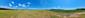 Včelár lesný (včelár obyčajný) (31.5.2023)