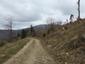 bocian čierny (30.4.2023)