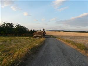 Horné Brhlovce - skládka dreva