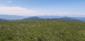 krkavec čierny (31.7.2023)