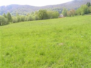 Celkový pohľad na plochu