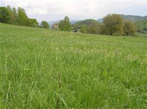 Pohľad na plochu TML