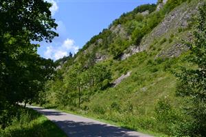 : pohľad na TML 1373 z asfaltovej prístupovej cesty