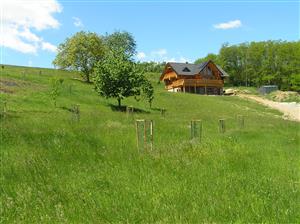 Na plochu je čiastočný tlak urbanizácie