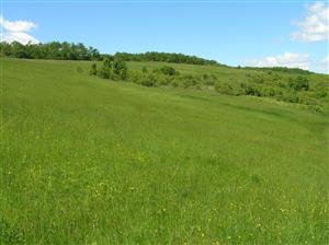 Pohľad na plochu v S časti