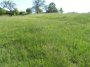 Celkový pohľad na plochu