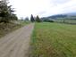trasochvost biely (29.4.2023)