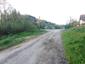 Jarabica poľná (29.4.2023)