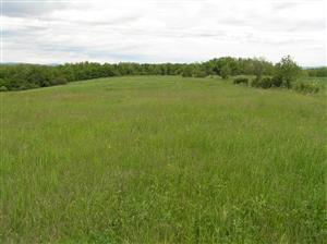 Celkový pohľad na TML