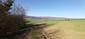 trasochvost biely (19.5.2023)
