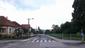 glezg hrubozobý ( obyčajný) (28.5.2023)