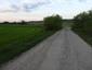 trasochvost biely (12.5.2023)
