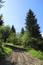 trasochvost biely (14.5.2023)