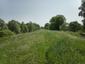 trasochvost biely (6.5.2023)