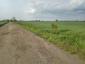 trasochvost biely (25.5.2023)