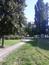 Kukučka obyčajná (jarabá) (21.5.2023)