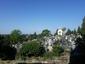 trasochvost biely (21.5.2023)