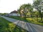 Pinka lesná (28.5.2023)