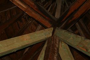 kolónia Myotis myotis vo vežičke zámku