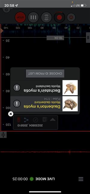 Mdau na detektore