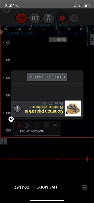Ppip na detektore