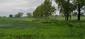 Vrana popolavá (27.4.2023)