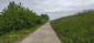 trasochvost biely (14.5.2023)
