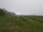trasochvost biely (25.5.2023)