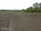 trasochvost biely (20.5.2023)