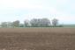 trasochvost biely (20.5.2023)