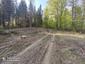 vrchárka modrá (24.5.2023)