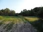 trasochvost biely (7.5.2023)