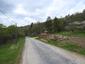 Vrana popolavá (27.5.2023)