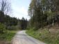 Sýkorka veľká ( bielolíca) (27.5.2023)