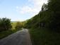Hýľ lesný (obyčajný) (27.5.2023)