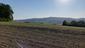 Škovránik stromový (14.5.2023)