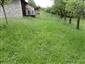 užovka hladká (9.5.2014)