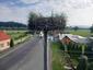 bocian biely (23.6.2023)