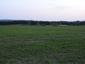 bučiačik močiarny (19.4.2023)