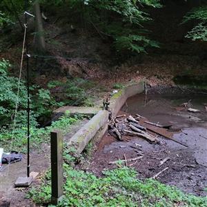 Miesto odchytu, Salamandrie jazierko