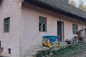 stavba v ktorej v minulosti sídlila kolónia RhinHipp