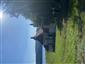kostol