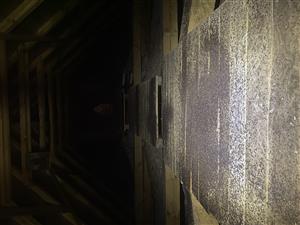 pochôdzna lávka a guáno