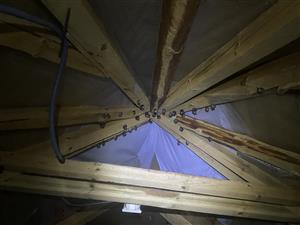 samice Rhip s mláďatkami aj bez