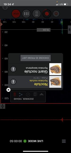 po okolí lietal Nnoc