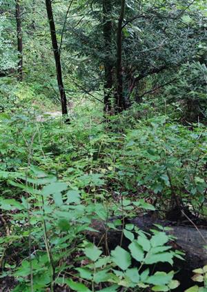 biotop lokality