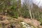 sova lesná (obyčajná) (17.3.2023)