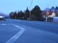 sova lesná (obyčajná) (21.3.2023)