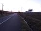 sova lesná (obyčajná) (13.4.2023)