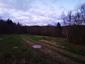 sova lesná (obyčajná) (14.3.2023)